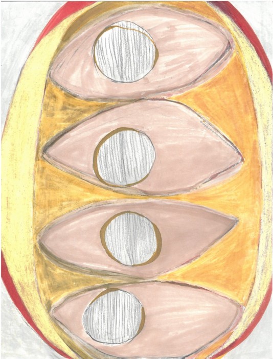 drawing